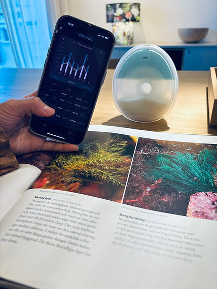 Youha 優合 | Evera穿戴式吸乳器(主機2年/ 電池1年保修)