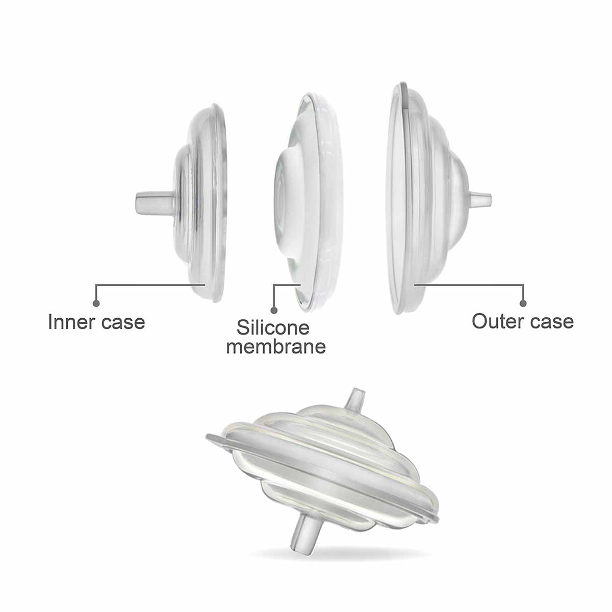 SPECTRA | 預防逆流器